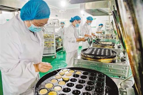 沙坪壩食品中央工廠 科技賦能，為5000名老人定制營養膳食