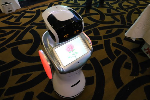 順應(yīng)時(shí)代，點(diǎn)燃?jí)粝?騰瑪人工智能新品發(fā)布會(huì)暨開業(yè)盛典